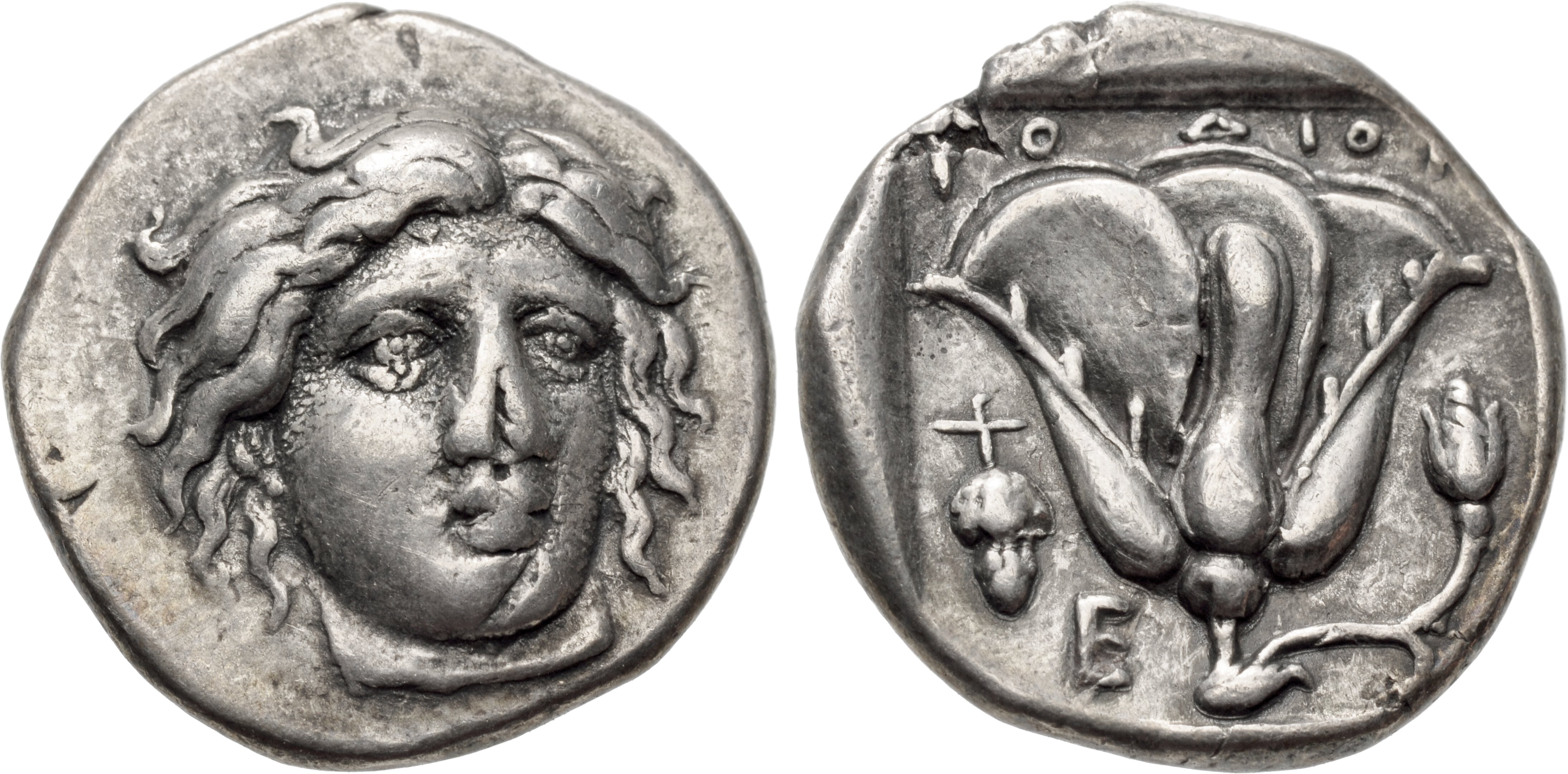 最大67%OFFクーポン アンティークコイン コイン 金貨 銀貨 送料無料 Caria Rhodes Greek AR Didrachm Coin  Rose Helios 305-275 BC Certified NGC VF