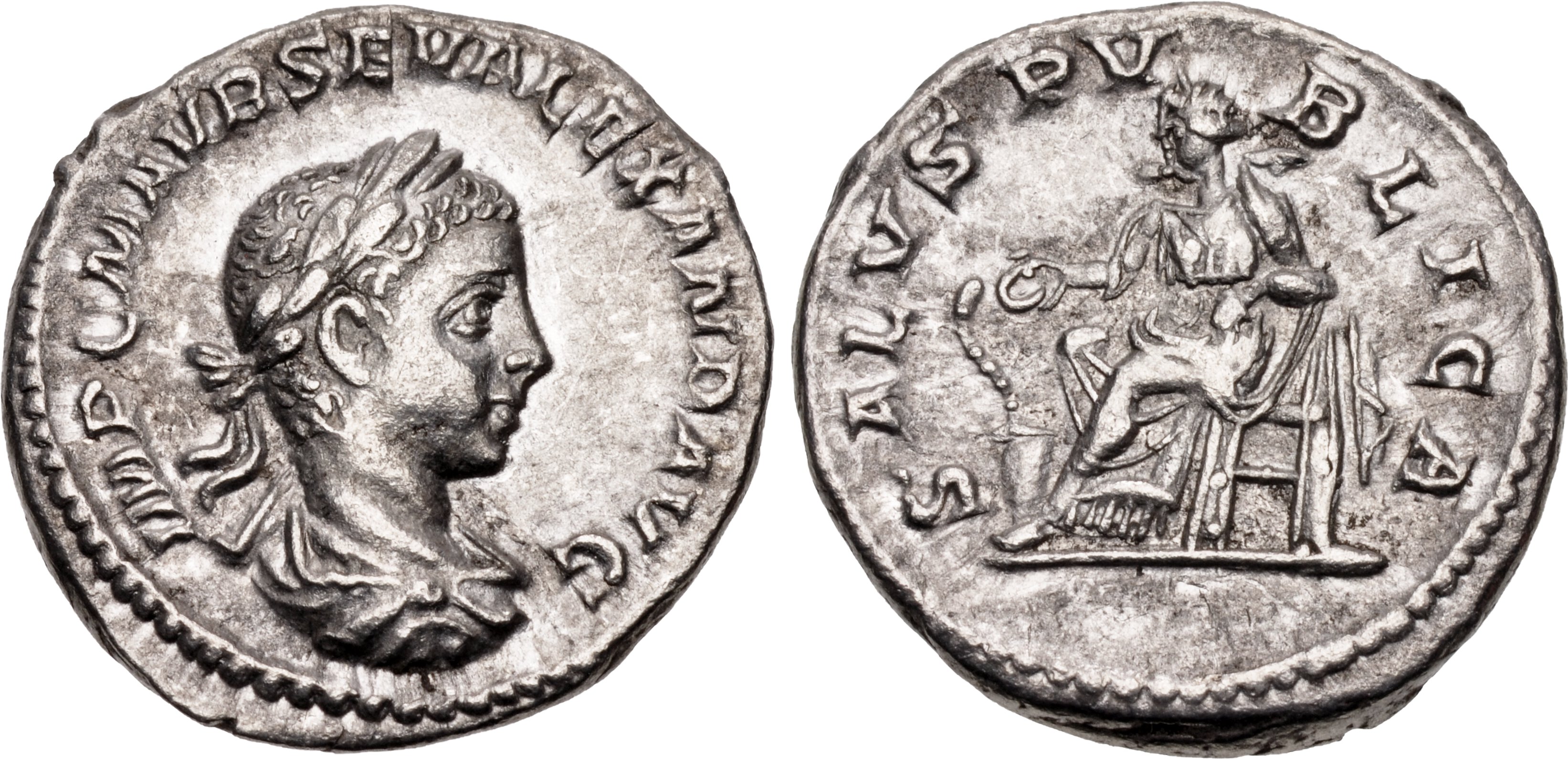 Details about   Rare Genuine ancient Roman coin Septimius Severus BILLON denarius SALUS SNAKE